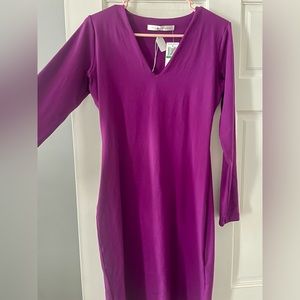 NTW Susana Monaco dress